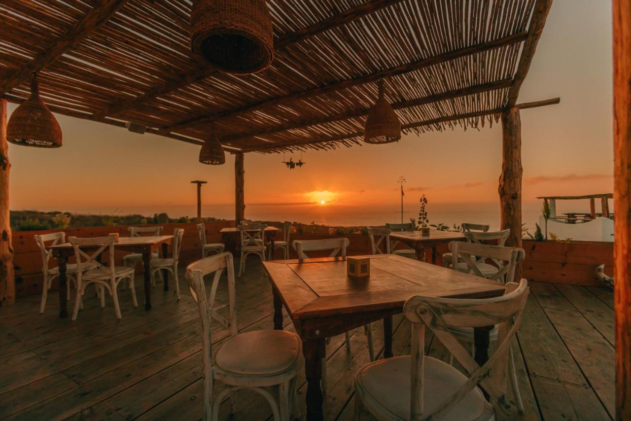 Nest Baja Hotel San José del Cabo Exterior foto